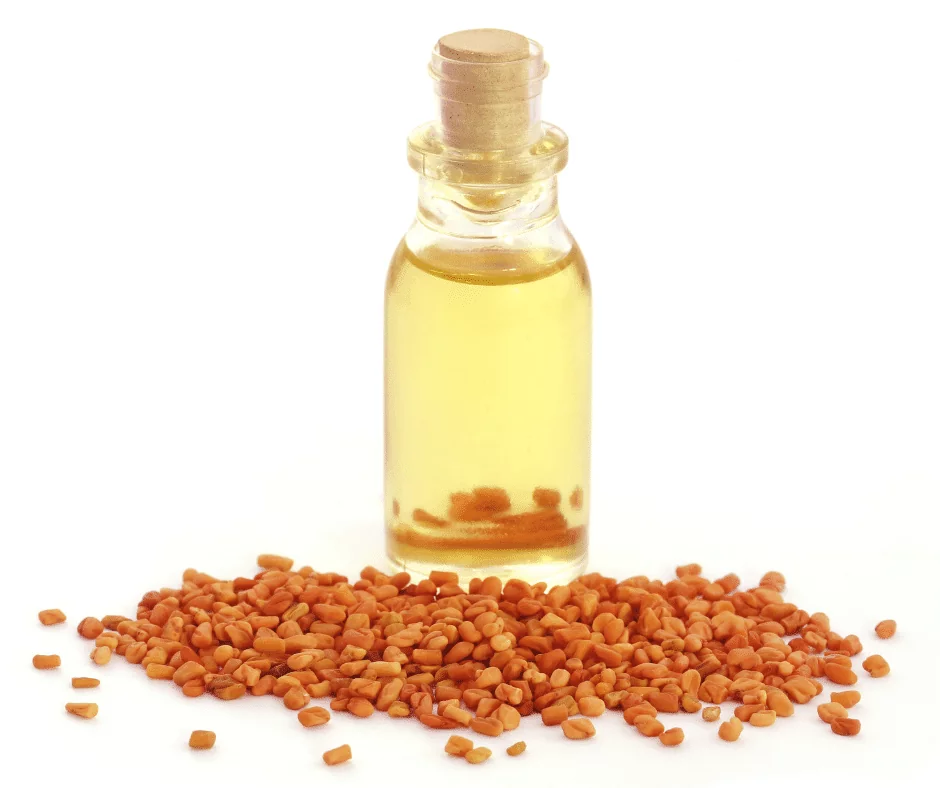 Fenugreek Seeds immersed in Coconut oil for hair growth