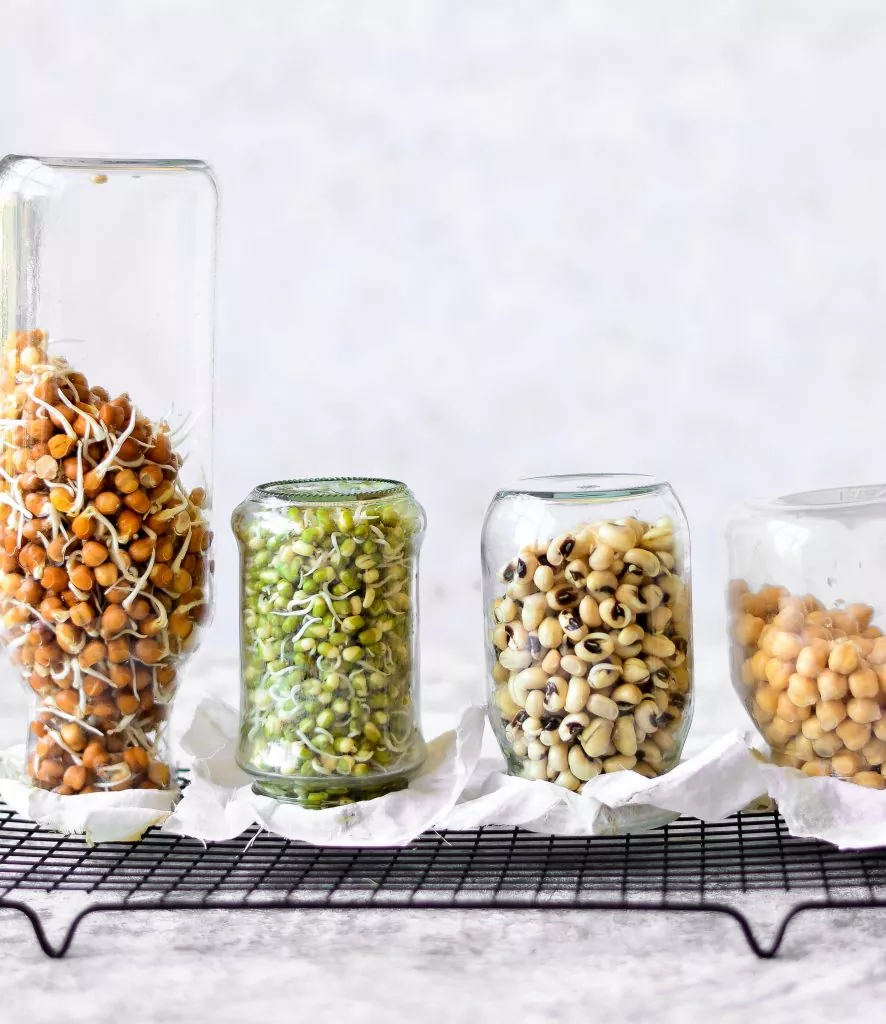 Sprouting Seeds in different jars