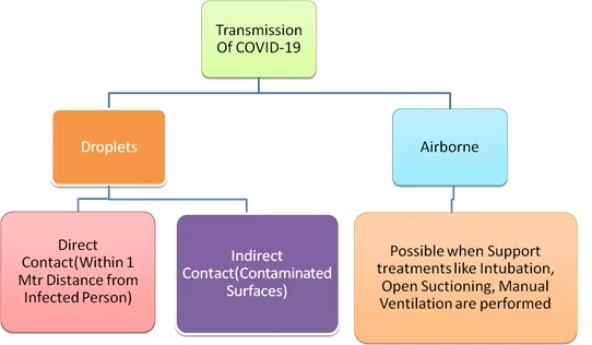 A chart depicting corona virus transmission