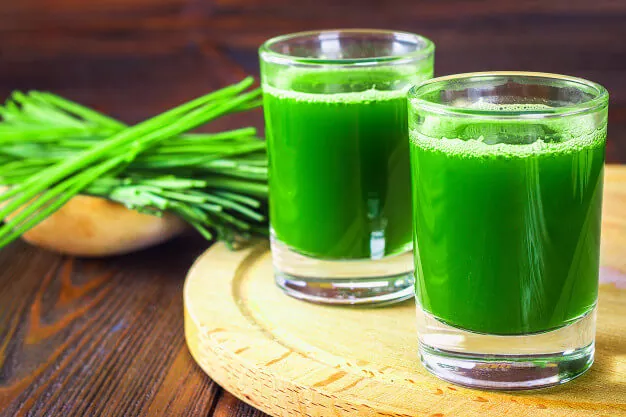 Wheat grass juice in a glass to stop hair fall