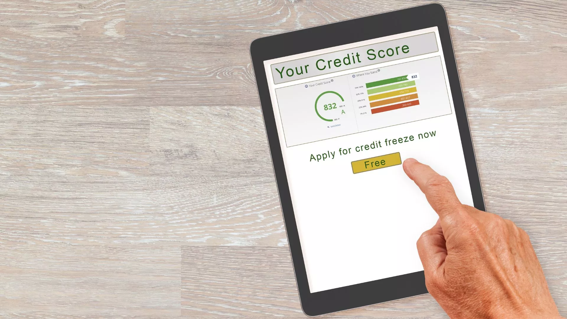 Credit Report